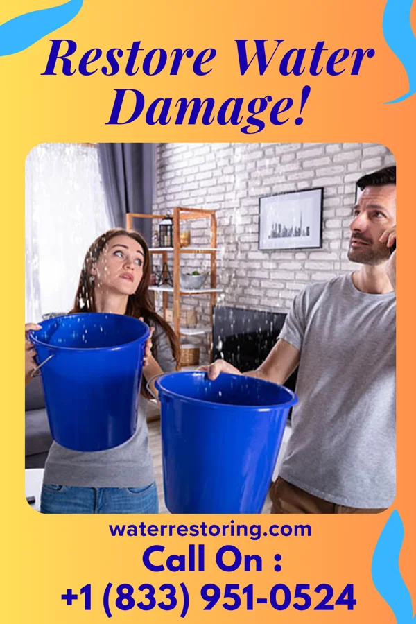 water restoration Royal Flood Experts West Elmira