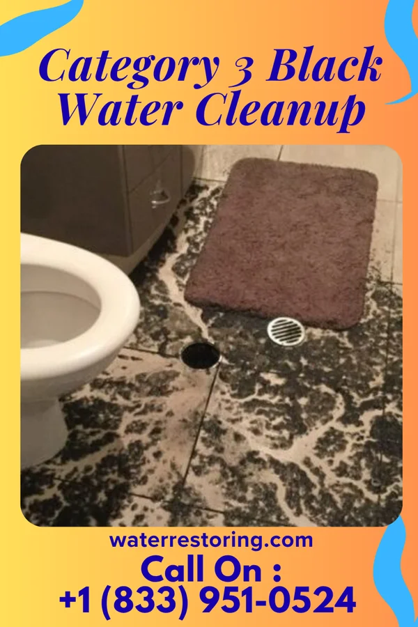 Category 3 Black Water Cleanup in West Elmira, NY