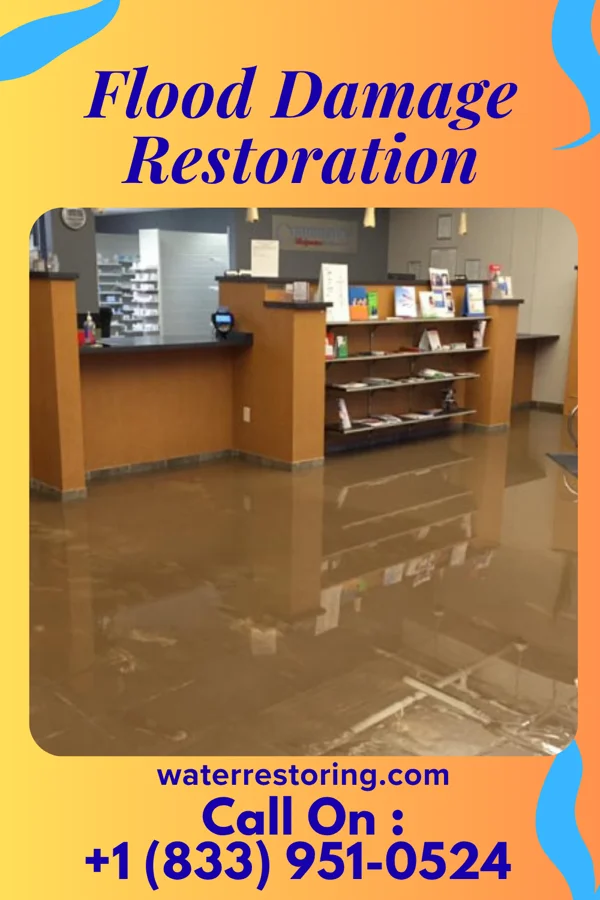 Flood Damage Restoration in West Elmira, NY