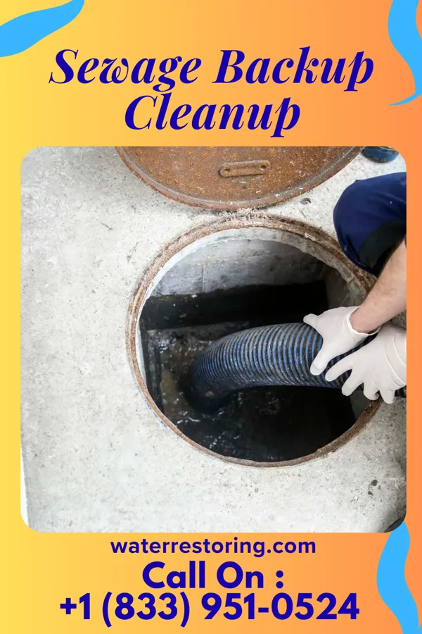 Sewage Backup Cleanup in West Elmira, NY