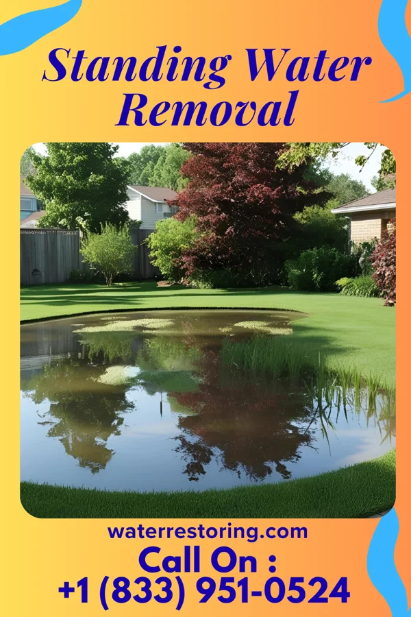 Standing Water Removal in West Elmira, NY
